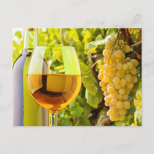 White Wine And Grapes Postcard