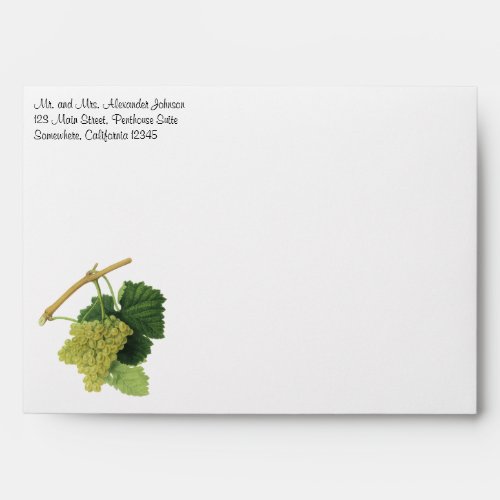 White Wine Grapes on the Vine Vintage Food Fruit Envelope
