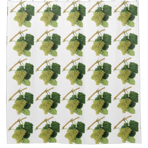 White Wine Grapes on the Vine Vintage Food Fruit Shower Curtain