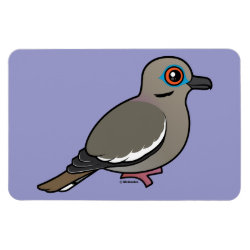 White-winged Dove 4