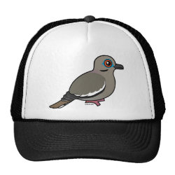 White-winged Dove Trucker Hat