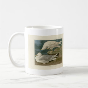 White-winged silvery Gull Audubon Birds of America Coffee Mug