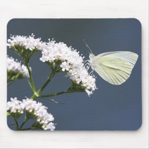 White Winged Wonder Mouse Pad