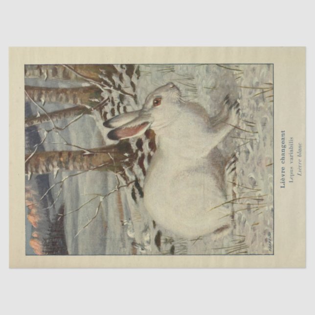 White Winter Rabbit Ephemera Decoupage Tissue Paper (Front)