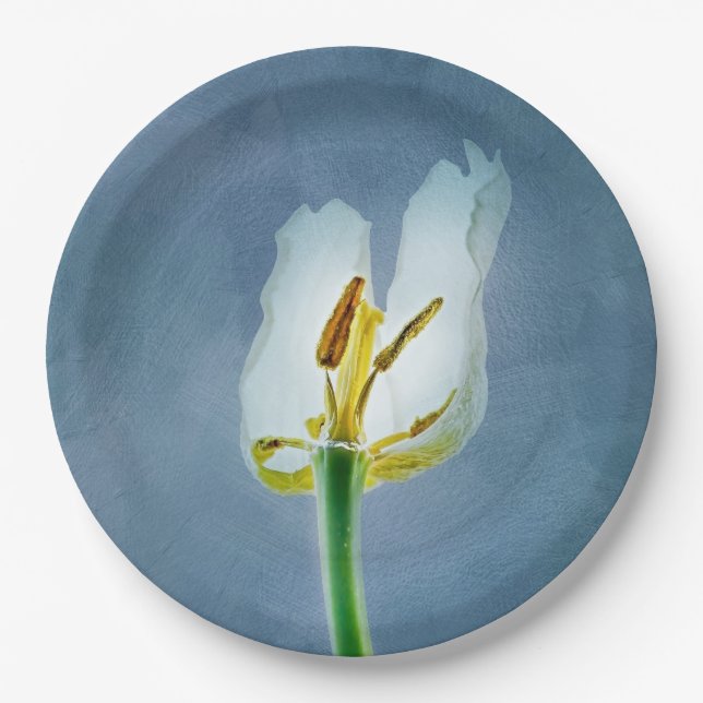 White withering tulip flower paper plates (Front)