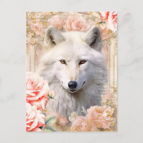 White Wolf and Pink Roses Postcard