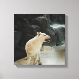 White Wolf Canvas Print