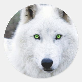 White Wolf Classic Round Sticker