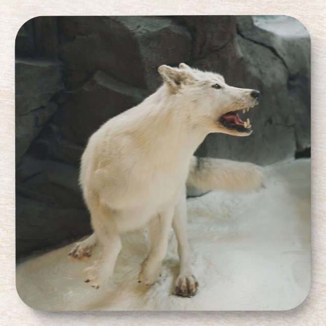 White Wolf Coaster (Front)