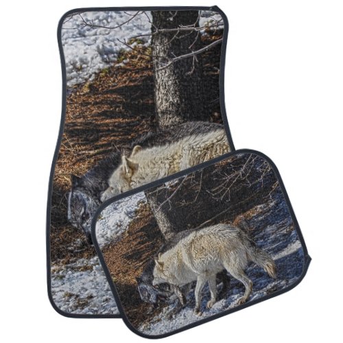 White Wolf Fighting Black Wolf Wildlife Photo Car Floor Mat