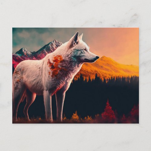 White Wolf in the Mountain at Sunrise Postcard