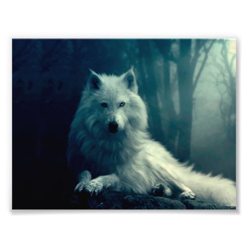 White wolf in the night forest photo print