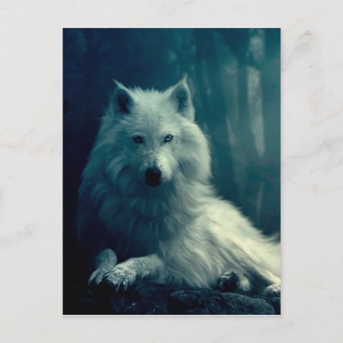 White wolf in the night forest postcard