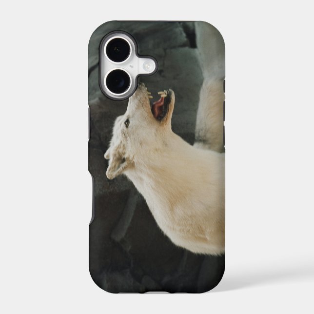 White Wolf Iphone Case (Back)