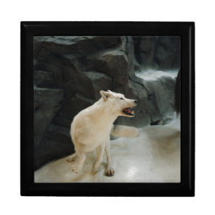 White Wolf Jewelry Box