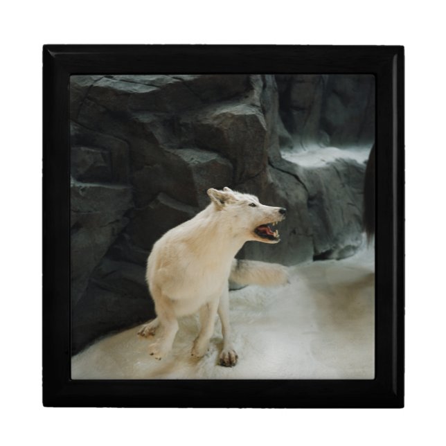 White Wolf Jewelry Box (Front)