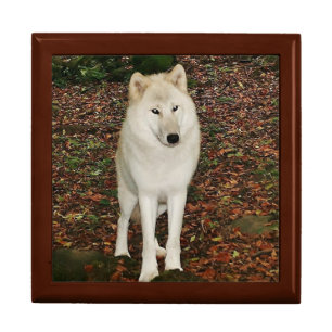 White Wolf Keepsake Box