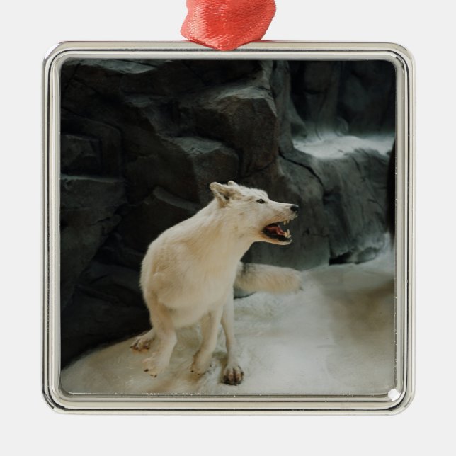 White Wolf Metal Ornament (Front)