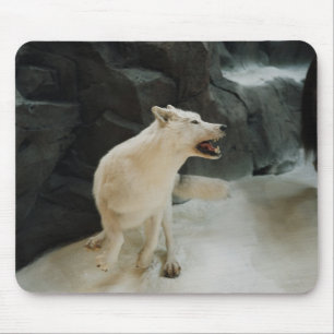 White Wolf Mouse Pad