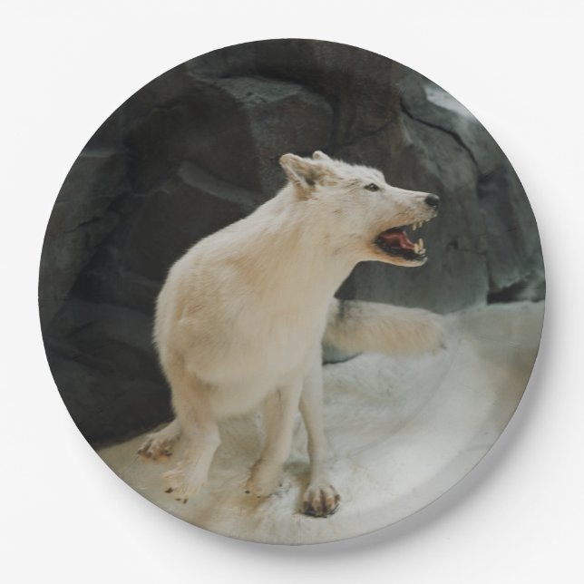 White Wolf Paper Plates (Front)