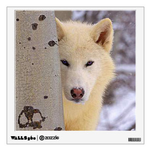 White Wolf Wall Decal