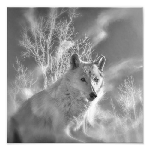 WHITE WOLF WHITE FOREST PHOTO PRINT