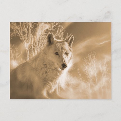 WHITE WOLF WHITE FOREST POSTCARD