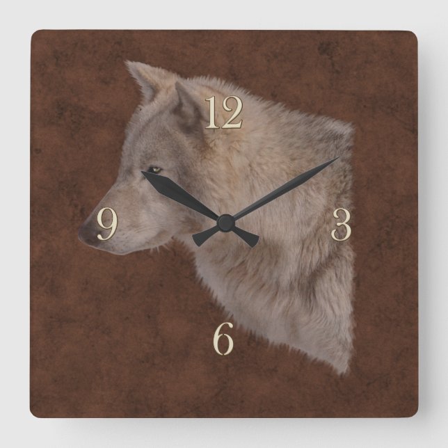 White Wolf Wildlife Portrait Art Square Wall Clock (Front)