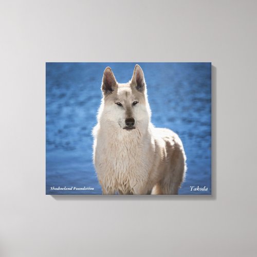 White Wolf Wrapped Canvas