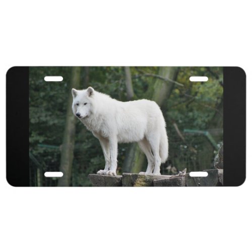 White Wolfs Watch License Plate