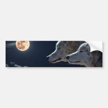 White Wolves In The Full Moon Bumper Sticker by AnimalHijinx at Zazzle