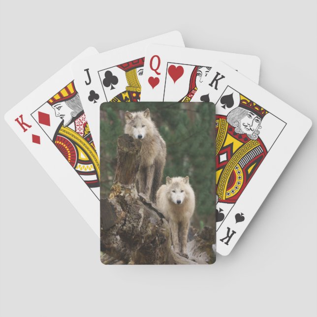 White Wolves' Realm Poker Cards (Back)