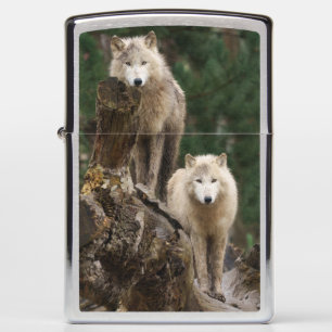 White Wolves' Realm Zippo Lighter