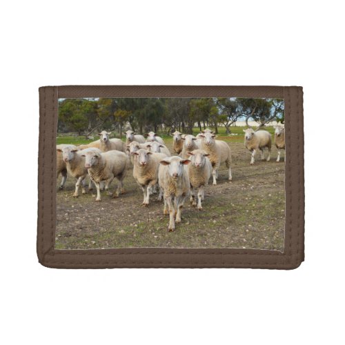 White Woolly Sheep Herd   Trifold Wallet