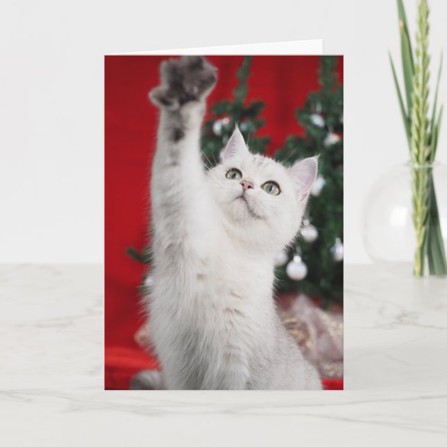 White XMAS Cat Holiday Card (Front)