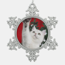 White XMAS Cat
