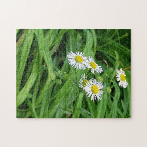 White yellow daisy flower jigsaw puzzle