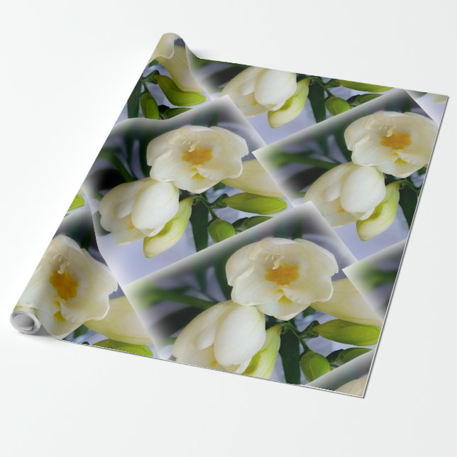 white yellow freesia wrapping paper (Unrolled)
