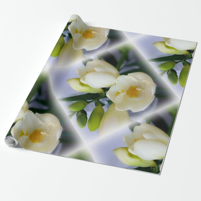 white yellow freesia wrapping paper (Unrolled)