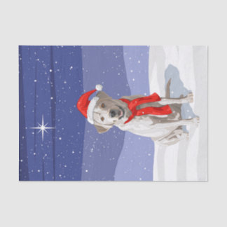 White Yellow Labrador Retriever in Santa Hat Tissue Paper