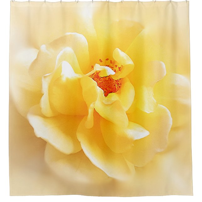 White Yellow Rose Soft Light Colors Shower Curtain (Front)