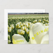 White Yellow Tulips Field Happy Spring Postcard (Front/Back)