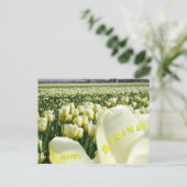 White Yellow Tulips Field Happy Spring Postcard (Standing Front)