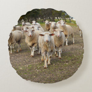 White Young Woolly Sheep, Round Pillow