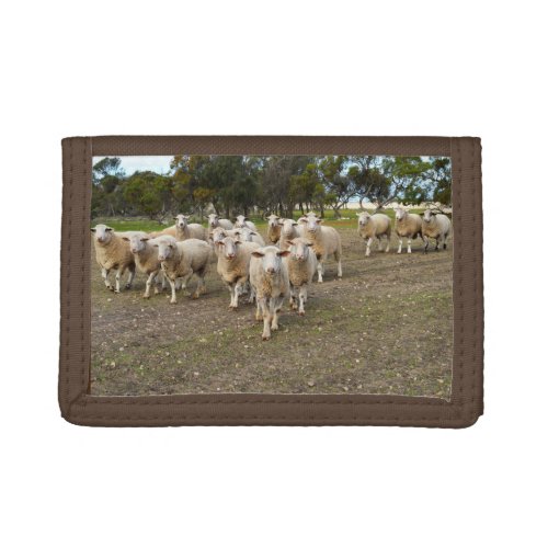White Young Woolly Sheep Trifold Wallet
