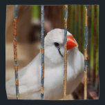 White Zebra Finch Bird in Cage Bandana<br><div class="desc">2023</div>