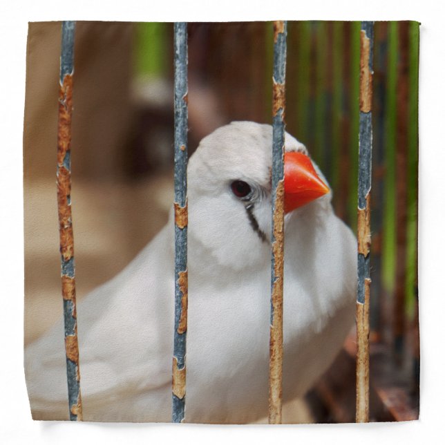 White Zebra Finch Bird in Cage Bandana (Front)