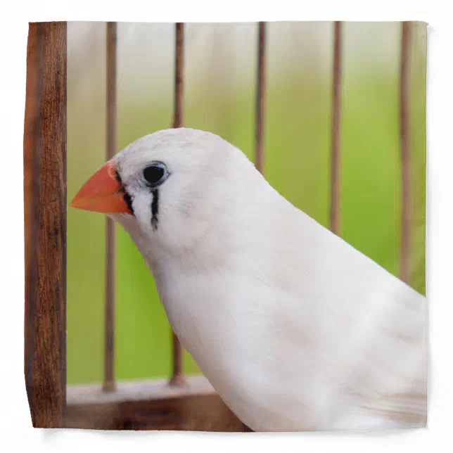 White Zebra Finch Bird in Cage Bandana