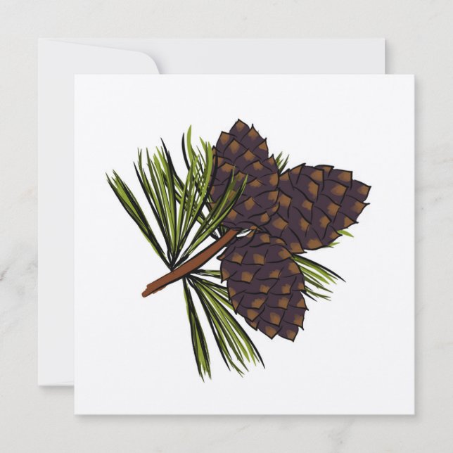Whitebark Pine Note Card (Front)