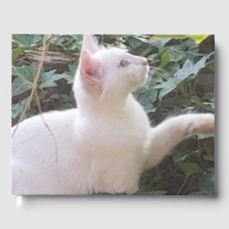 whitecat GuestBook